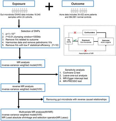 Mendelian randomization analysis reveals an independent causal relationship between four gut microbes and acne vulgaris